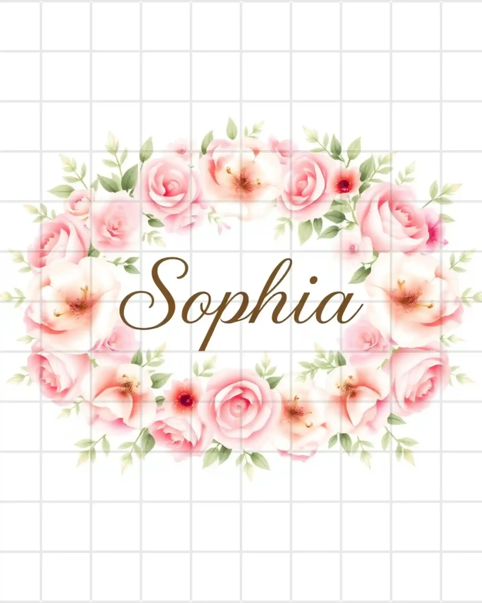 Sophia phoster 2