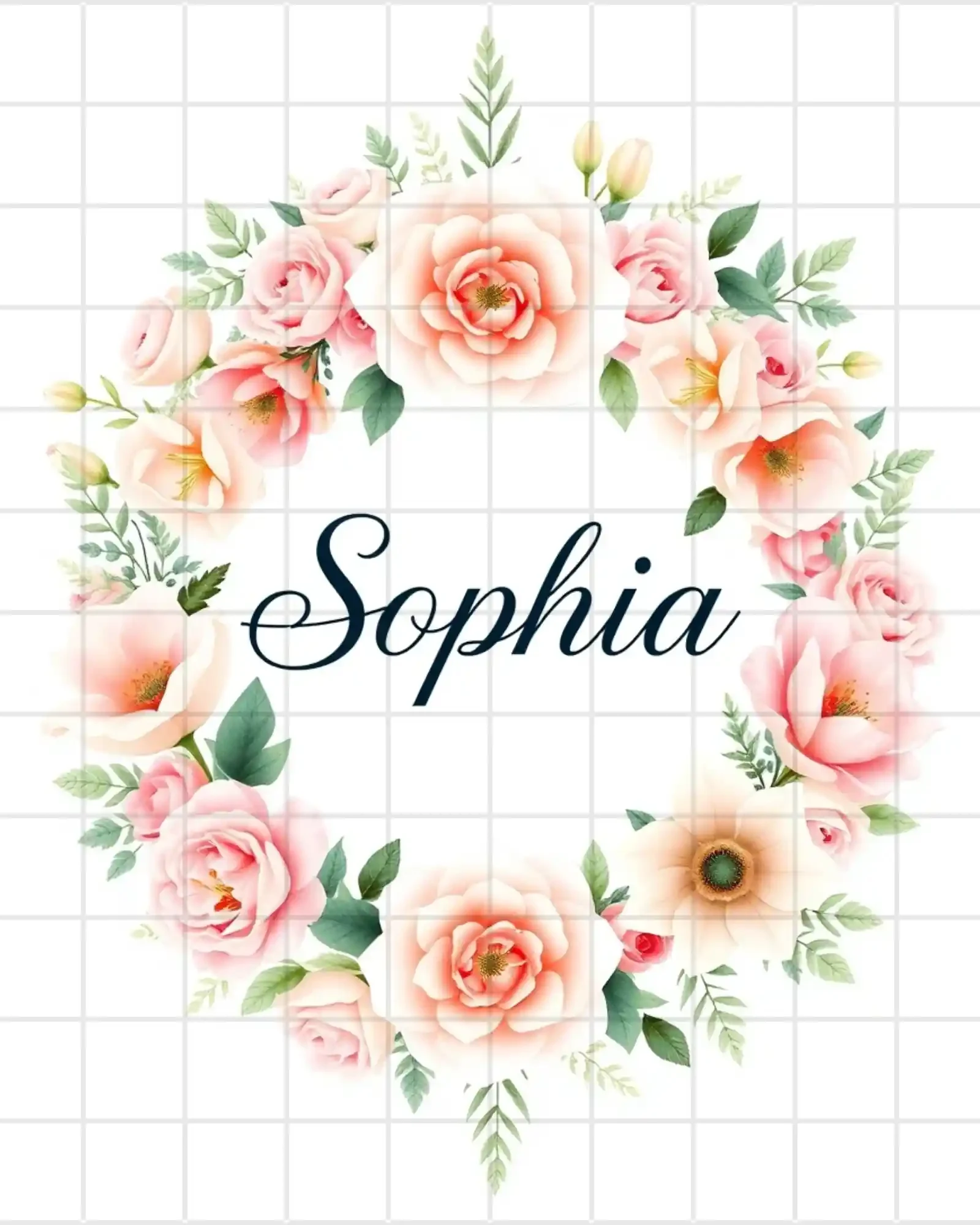 Sophia phoster 4